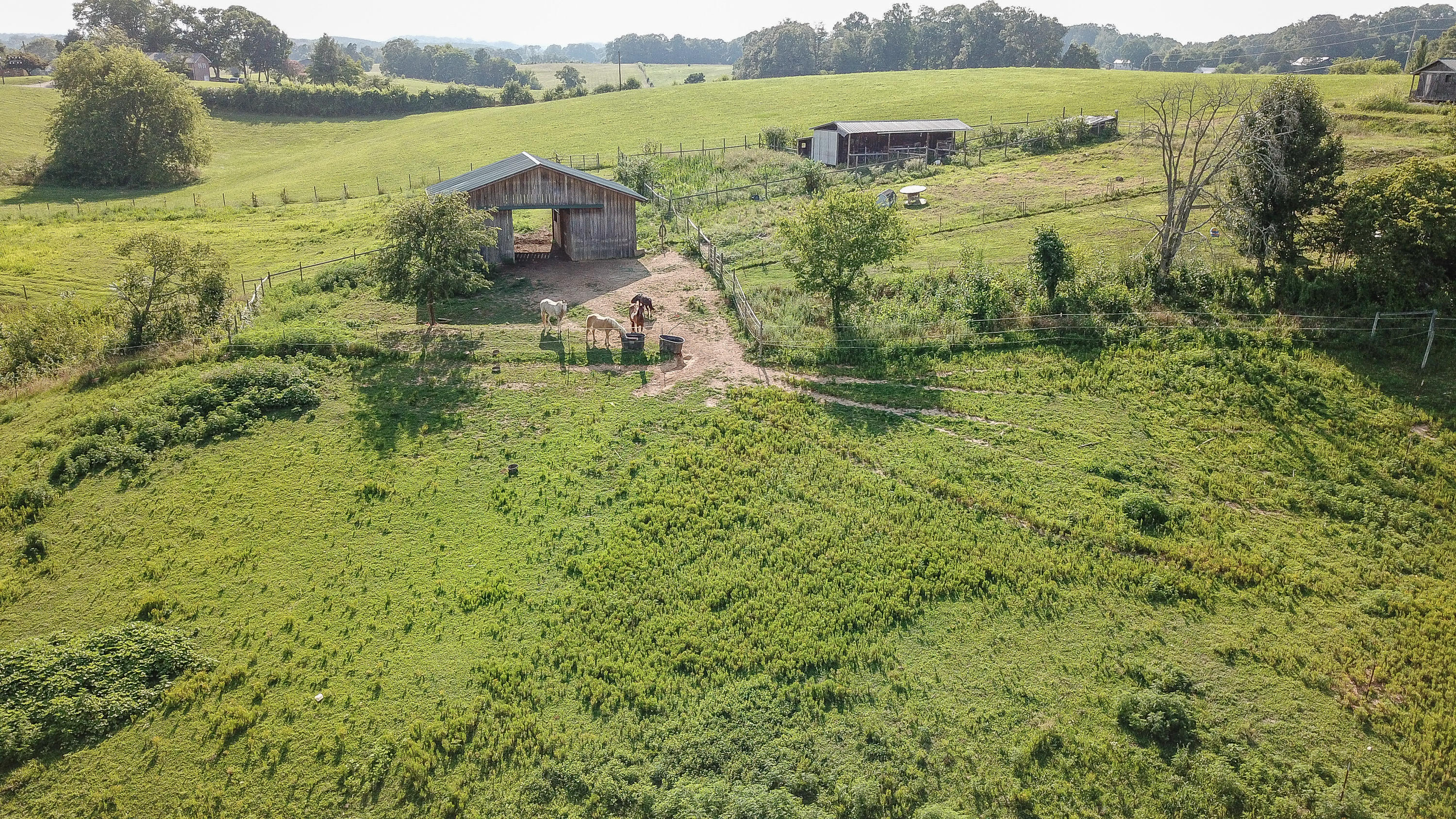 4240 Ritchey Road Loudon, TN 37774 - Photo 36 of 40 DJI_0029