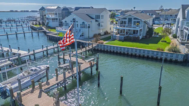 a view of a backyard with plants and a garden