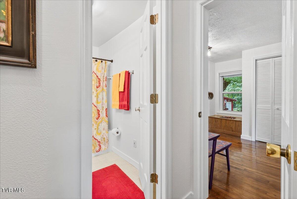 155 Stocton Road Roan Mountain, TN 37687 - Photo 12 of 71 17-WBP-Stocton-Rd-60