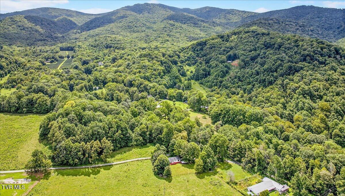 155 Stocton Road Roan Mountain, TN 37687 - Photo 56 of 71 59-WBP-Stocton-Rd-19