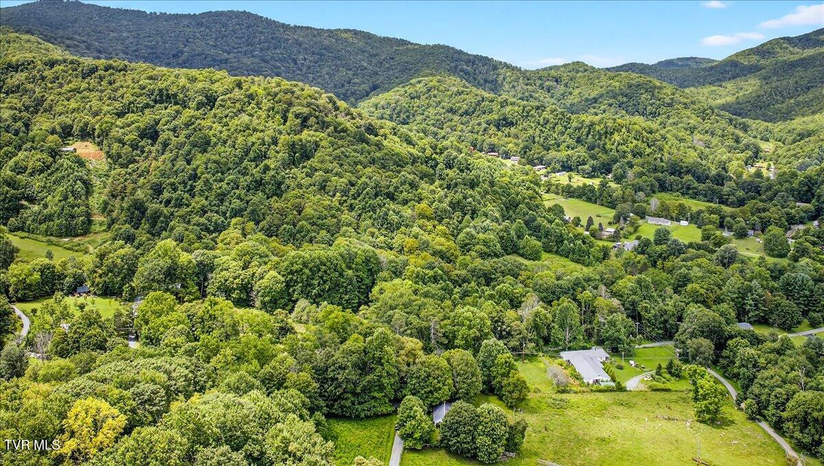 155 Stocton Road Roan Mountain, TN 37687 - Photo 57 of 71 61-WBP-Stocton-Rd-14