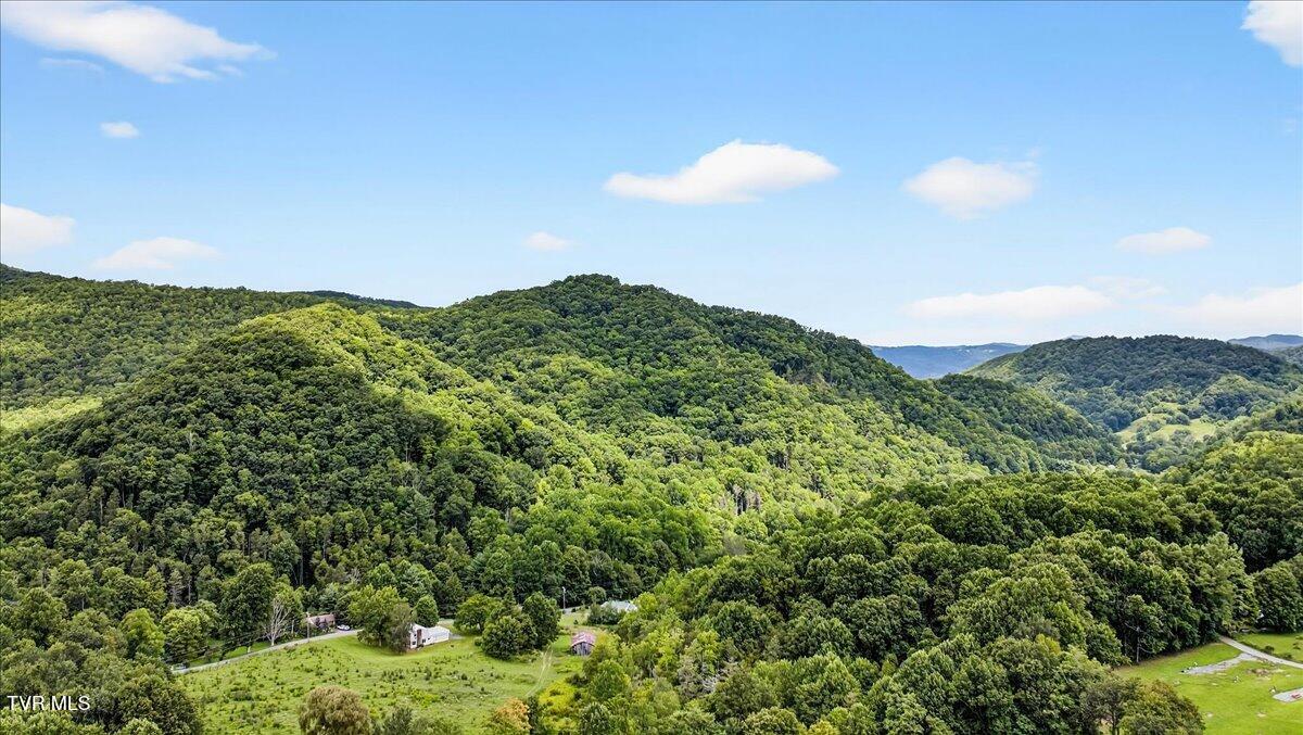 155 Stocton Road Roan Mountain, TN 37687 - Photo 64 of 71 70-WBP-Stocton-Rd-10