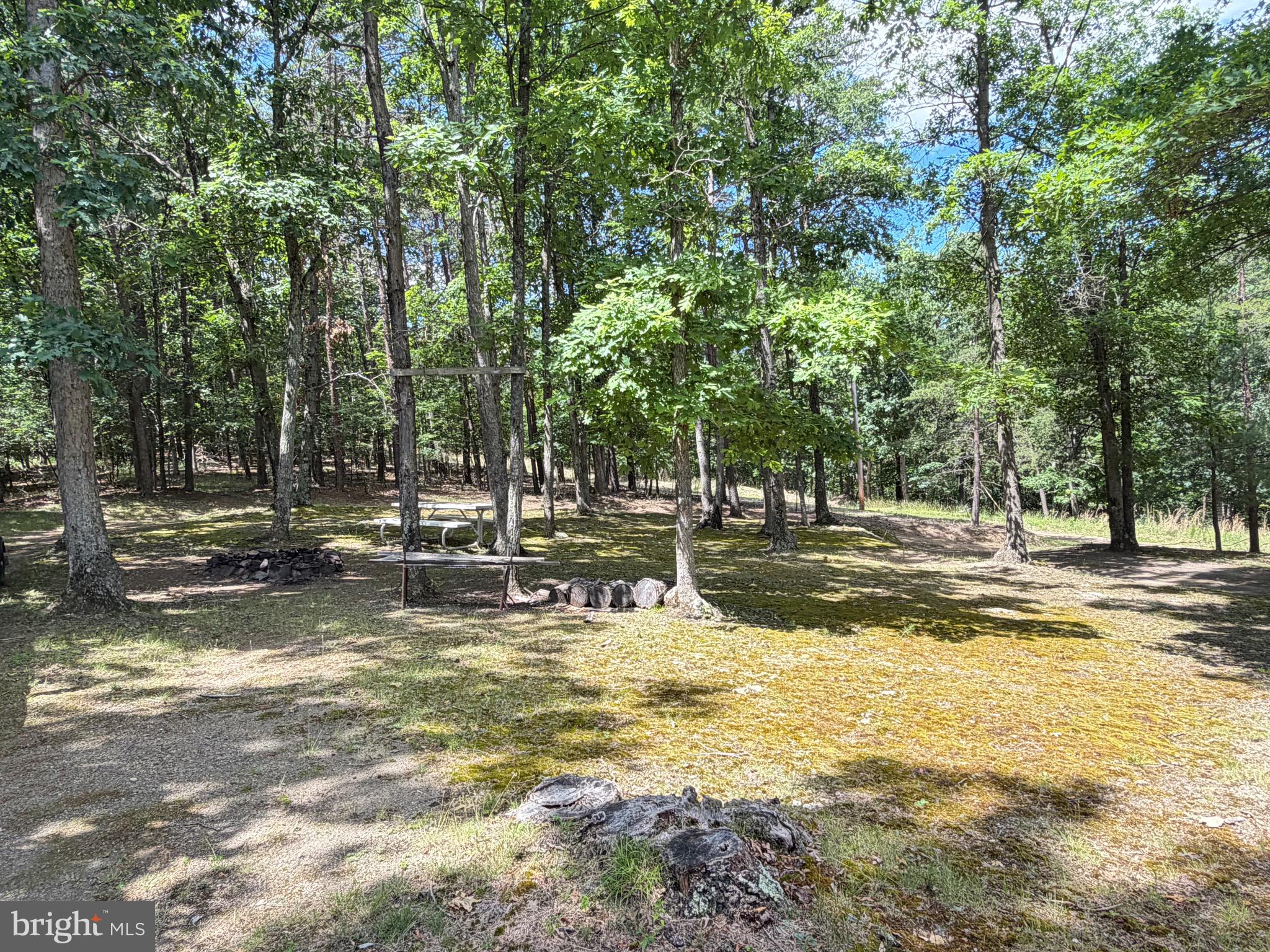 511 Chickadee Road Purgitsville, WV 26852 - Photo 61 of 99