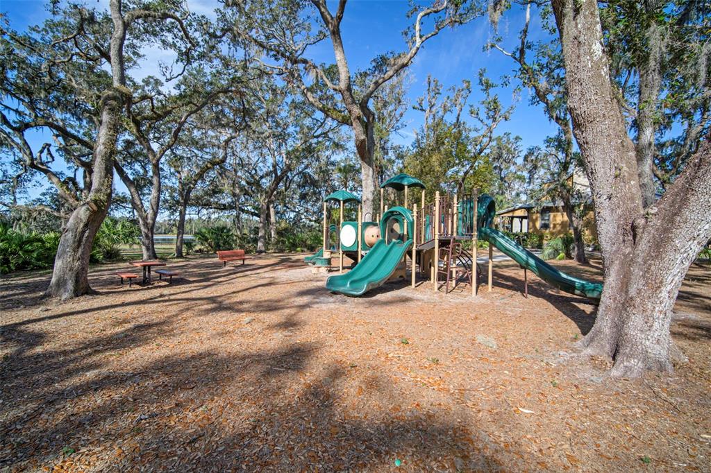 5807 Circa Fishhawk Boulevard Lithia, FL 33547 - Photo 35 of 40 a view of street with entertaining space