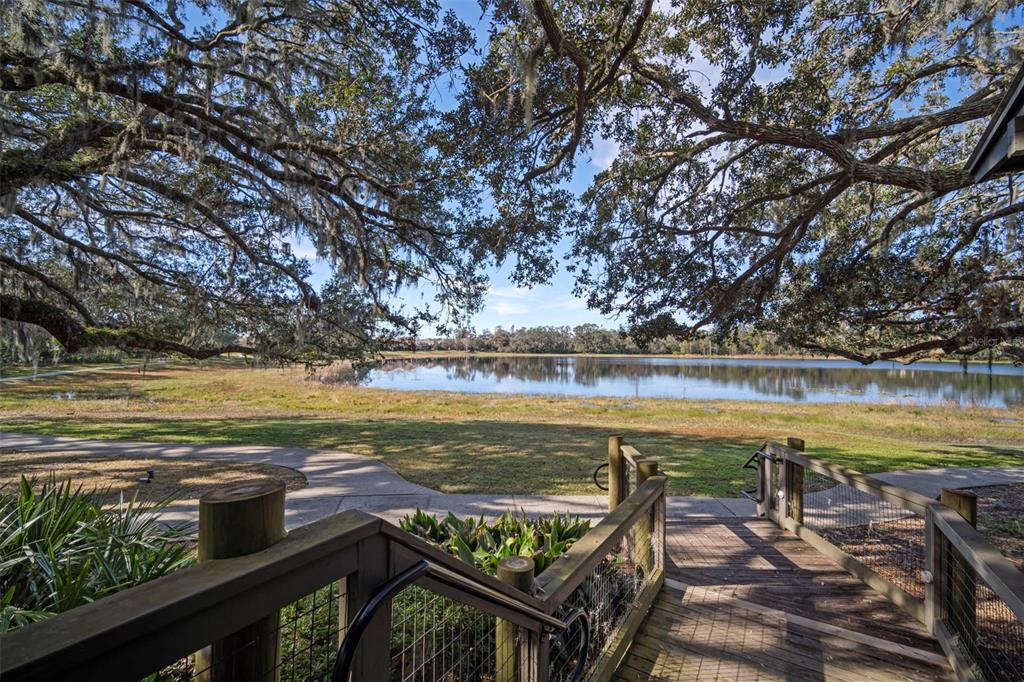 5807 Circa Fishhawk Boulevard Lithia, FL 33547 - Photo 37 of 40 a view of a lake with outdoor seating