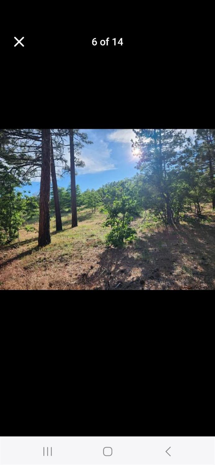 0 Cheney Creek Road Susanville, CA 96130 - Photo 13 of 18 a view of an ocean view