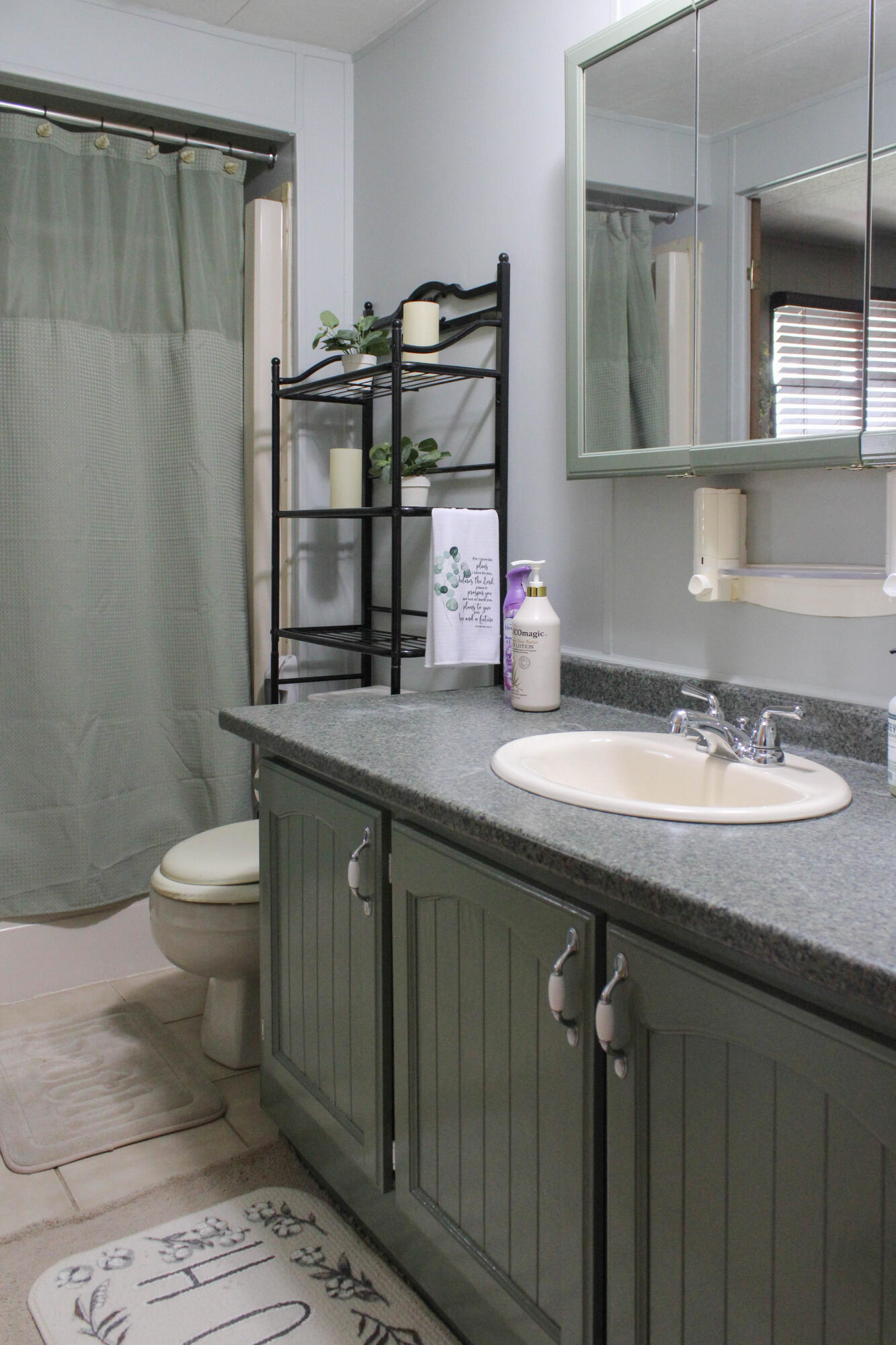 1466 North Marble Road Trufant, MI 49347 - Photo 16 of 38 Main bath