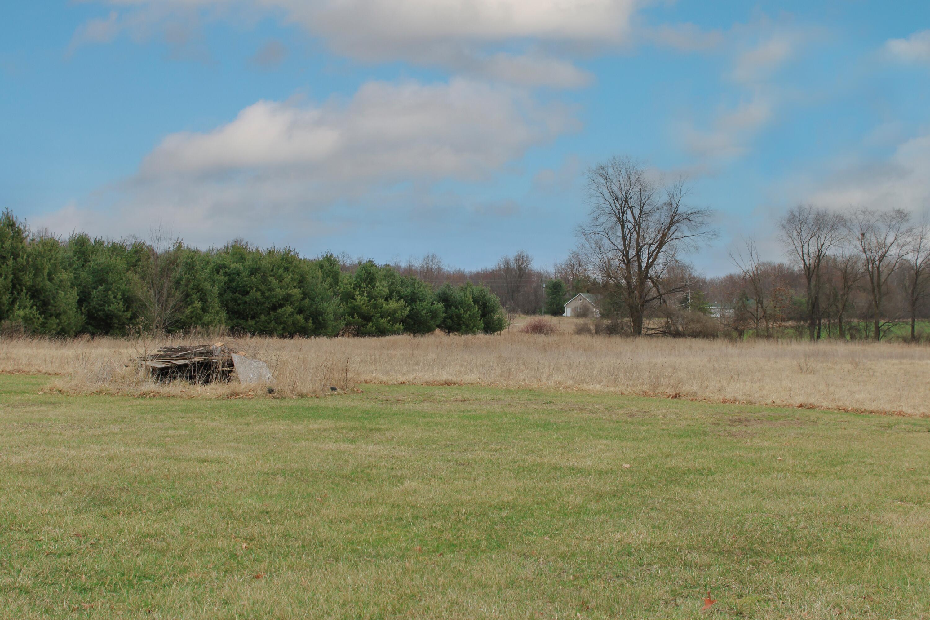 1466 North Marble Road Trufant, MI 49347 - Photo 37 of 38 NE facing