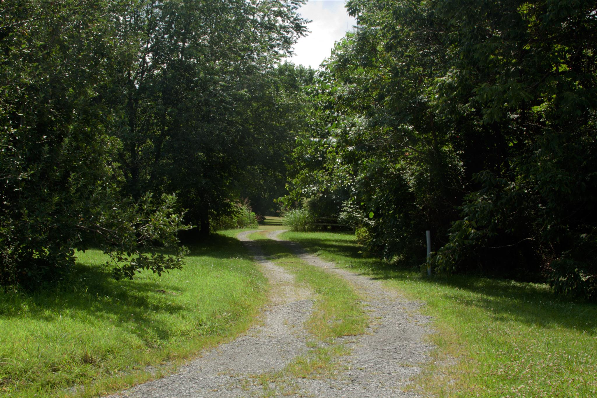 3932 Pleasant Grove Road White House, TN 37188 - Photo 2 of 14 a view of a park