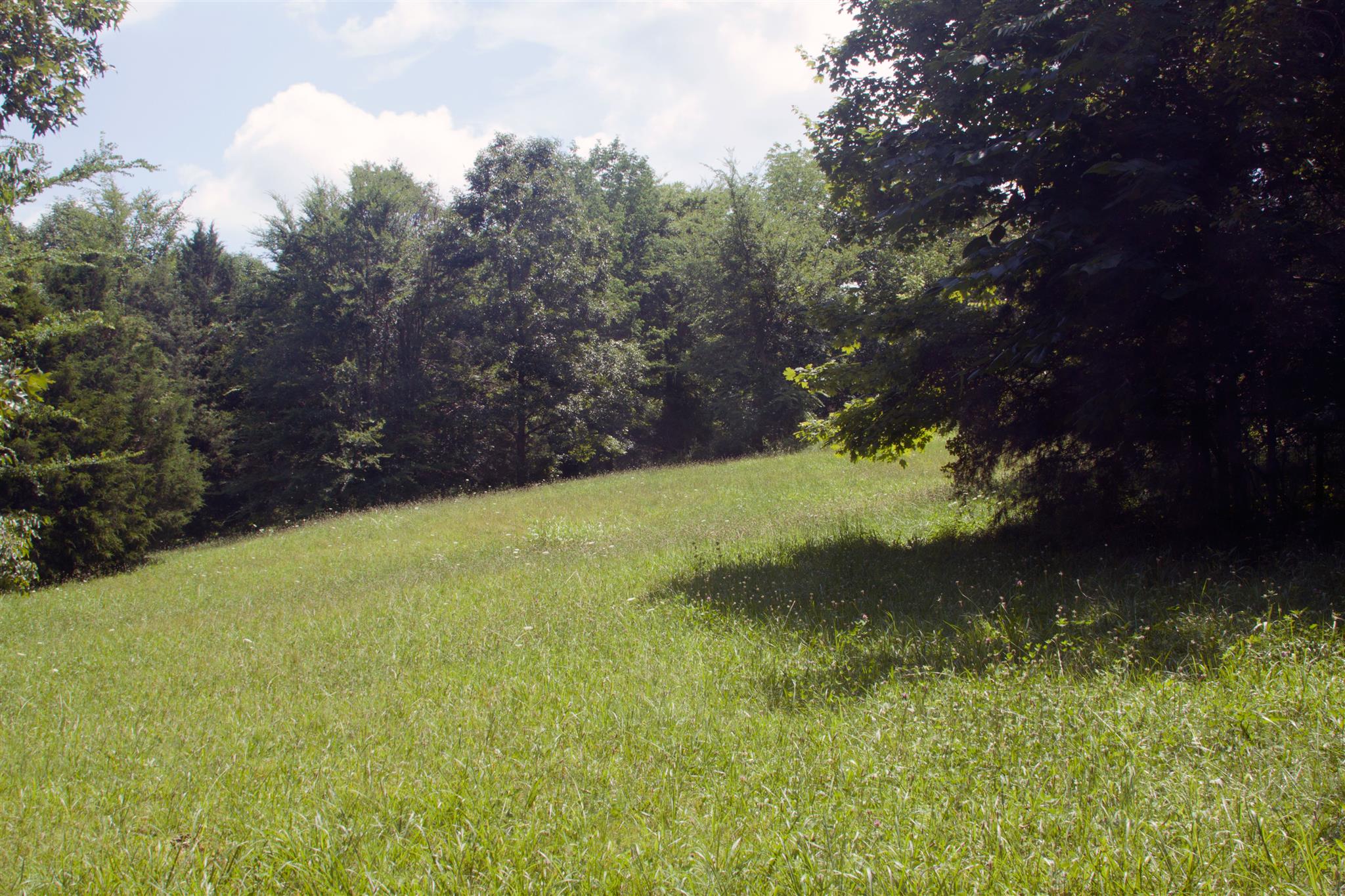 3932 Pleasant Grove Road White House, TN 37188 - Photo 3 of 14 a view of a yard