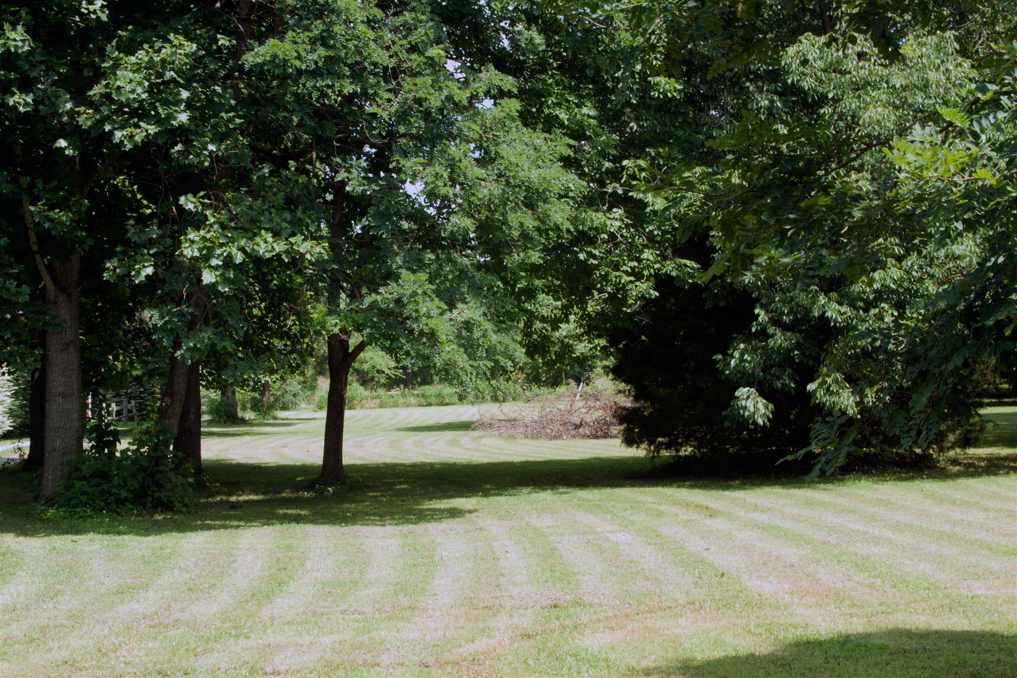 3932 Pleasant Grove Road White House, TN 37188 - Photo 4 of 14 a view of a park