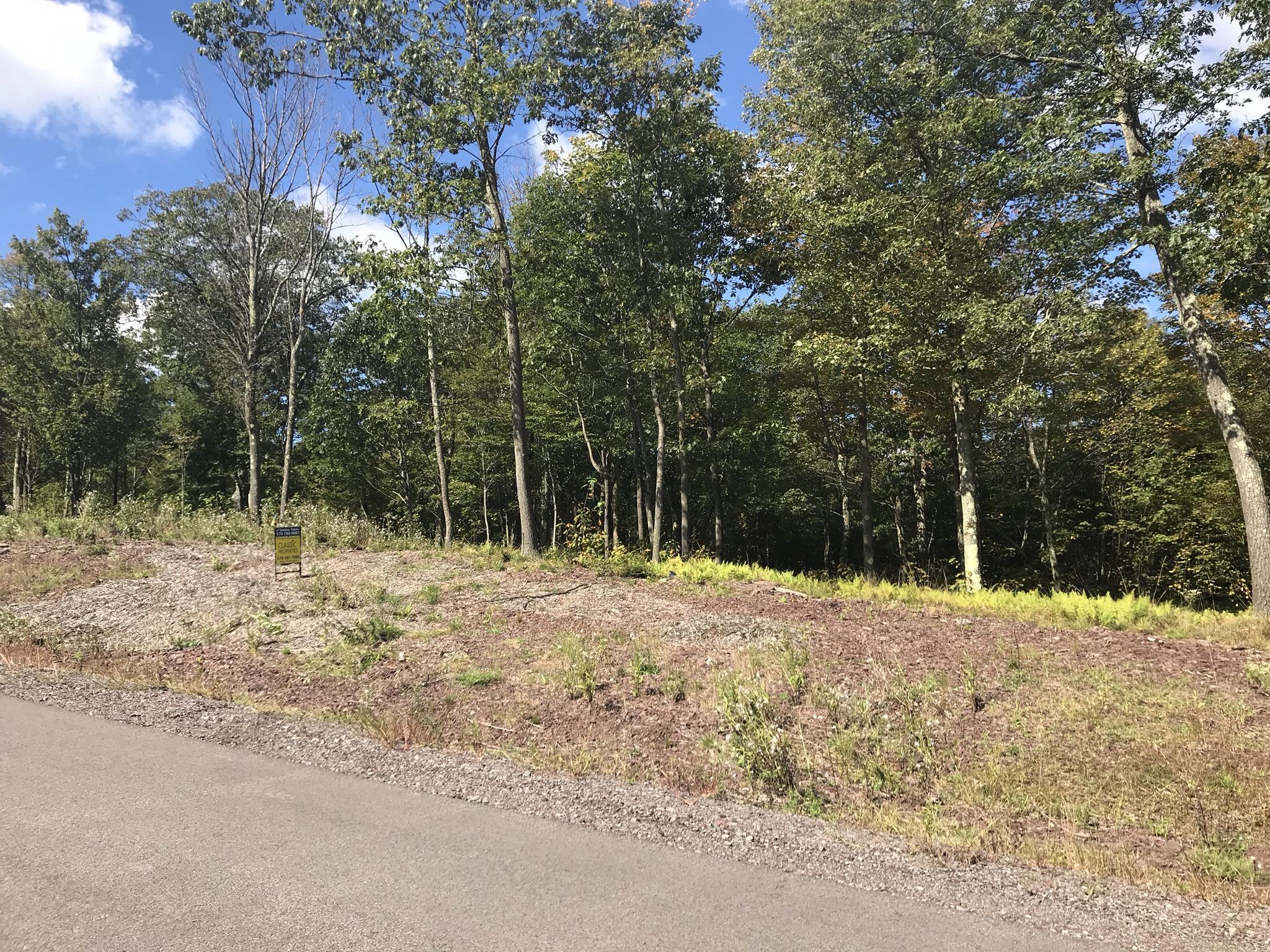 Lot 170 Summit Woods Road Moscow, PA 18444 - Photo 3 of 3 a view of a yard with trees