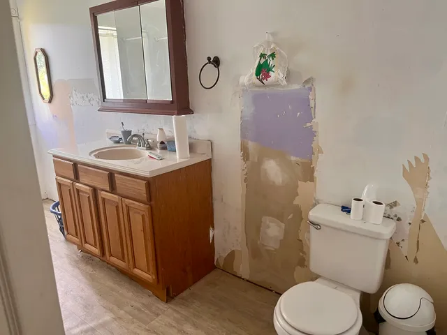 a bathroom with a sink vanity mirror and toilet