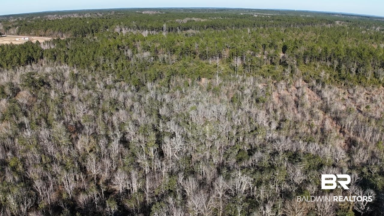 11808 Abb Road Tibbie, AL 36583 - Photo 17 of 31 Birds eye view of property