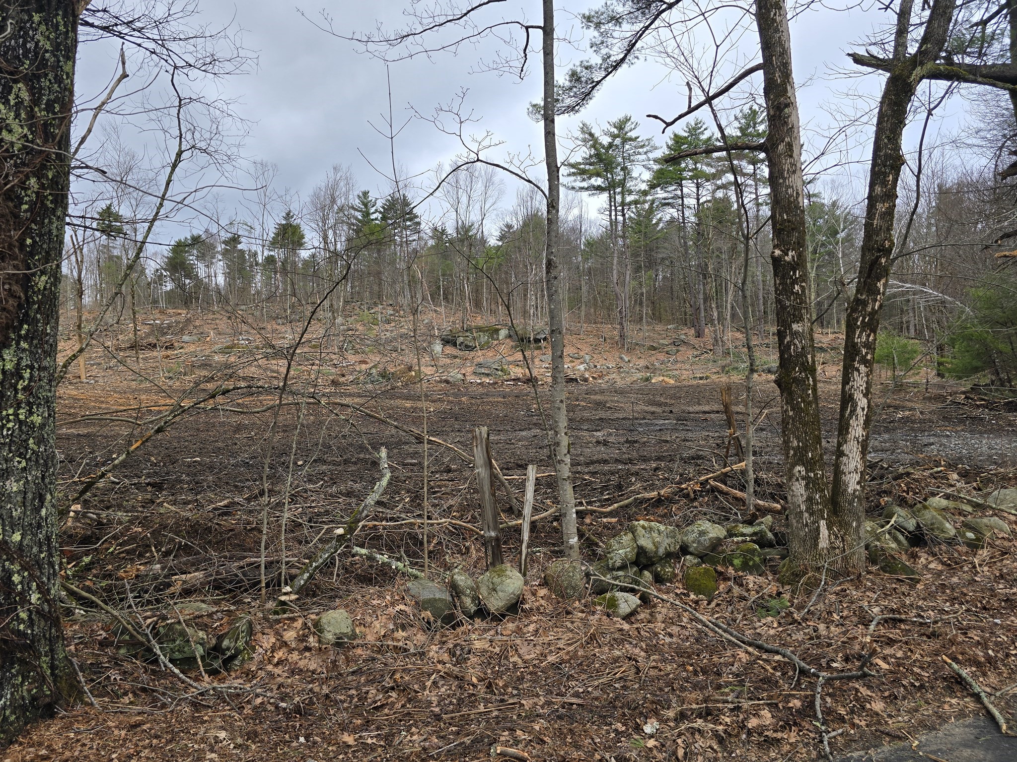0 Neale Road Royalston, MA 01368 - Photo 4 of 4 Gallery Image 4