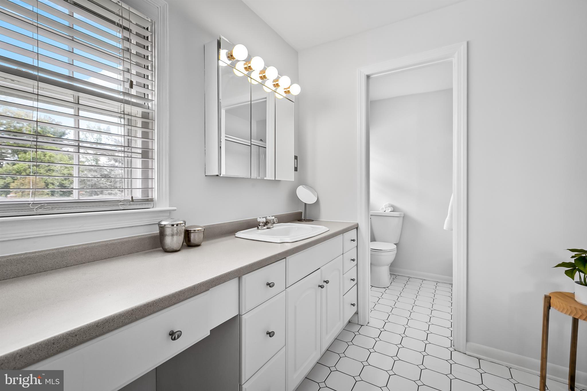 241 Chantrey Road Lutherville-Timonium, MD 21093 - Photo 25 of 42 Primary Bath