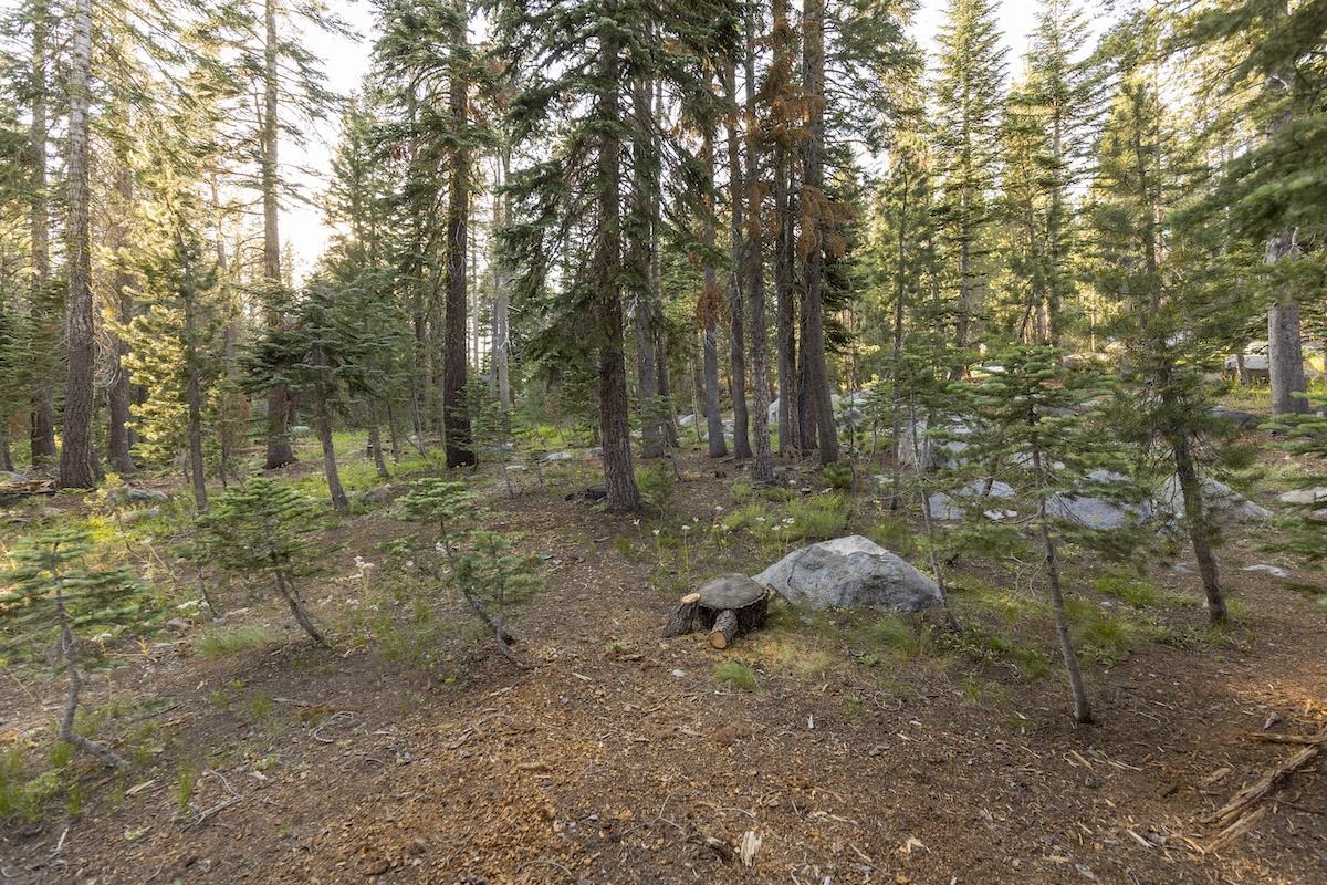 7928 Acorn Road Soda Springs, CA 95728 - Photo 12 of 15 Gallery Image 12