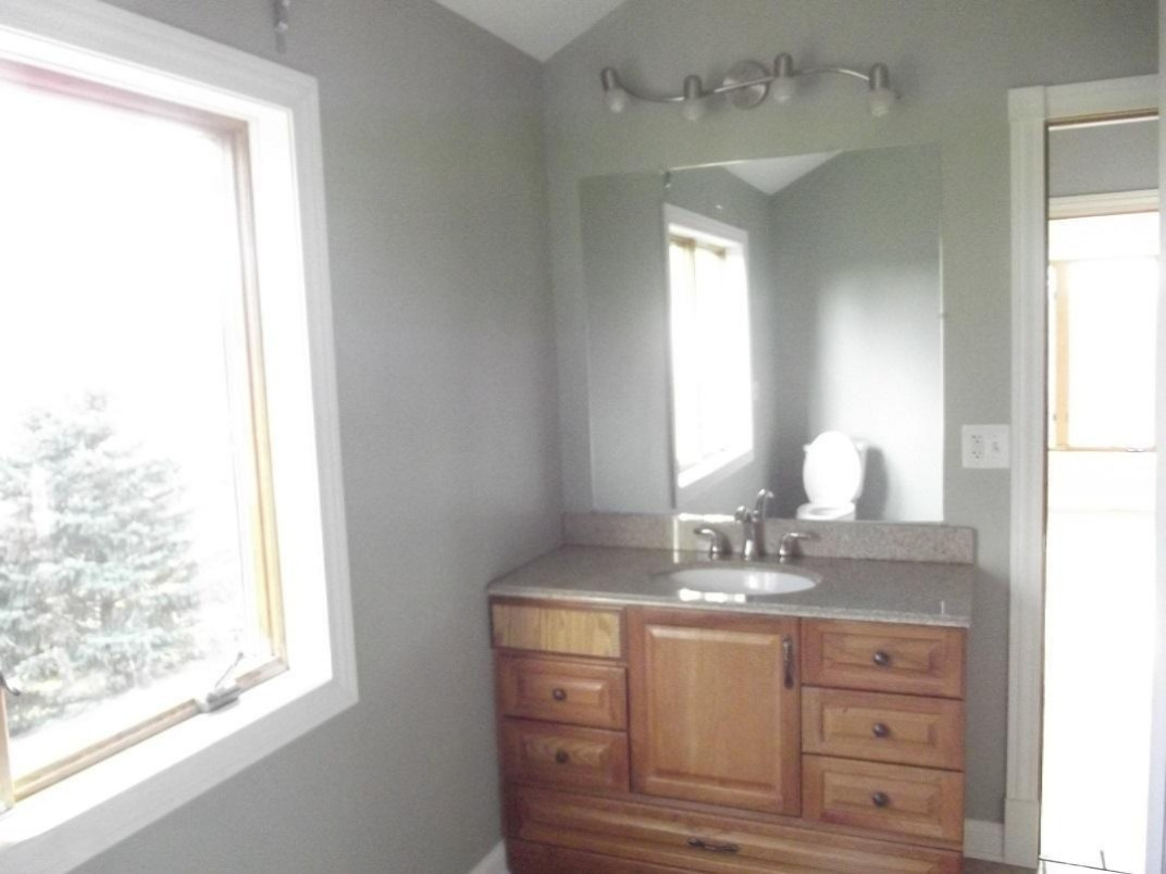 404 South Williams Street Bellevue, MI 49021 - Photo 33 of 37 2017-03-28 17.41.03