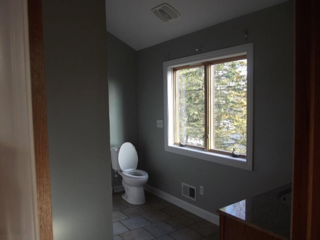 404 South Williams Street Bellevue, MI 49021 - Photo 34 of 37 2017-03-28 17.44.14