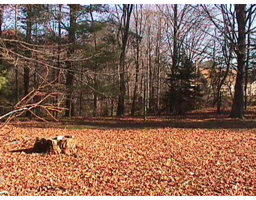 204 South Longyard Road Southwick, MA 01077 - Photo 5 of 8 Gallery Image 5