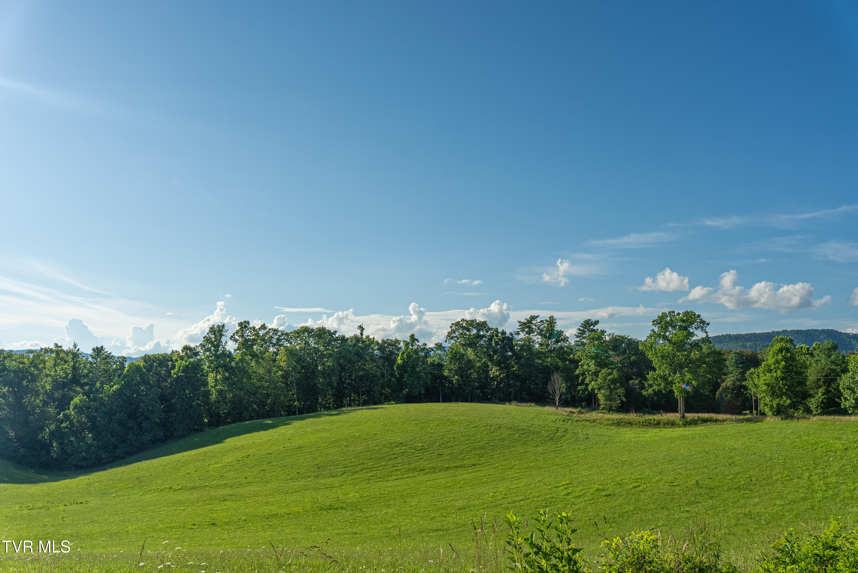 0 Dry Hill Road Butler, TN 37640 - Photo 2 of 12 38 Acre Rolling Pasture-8