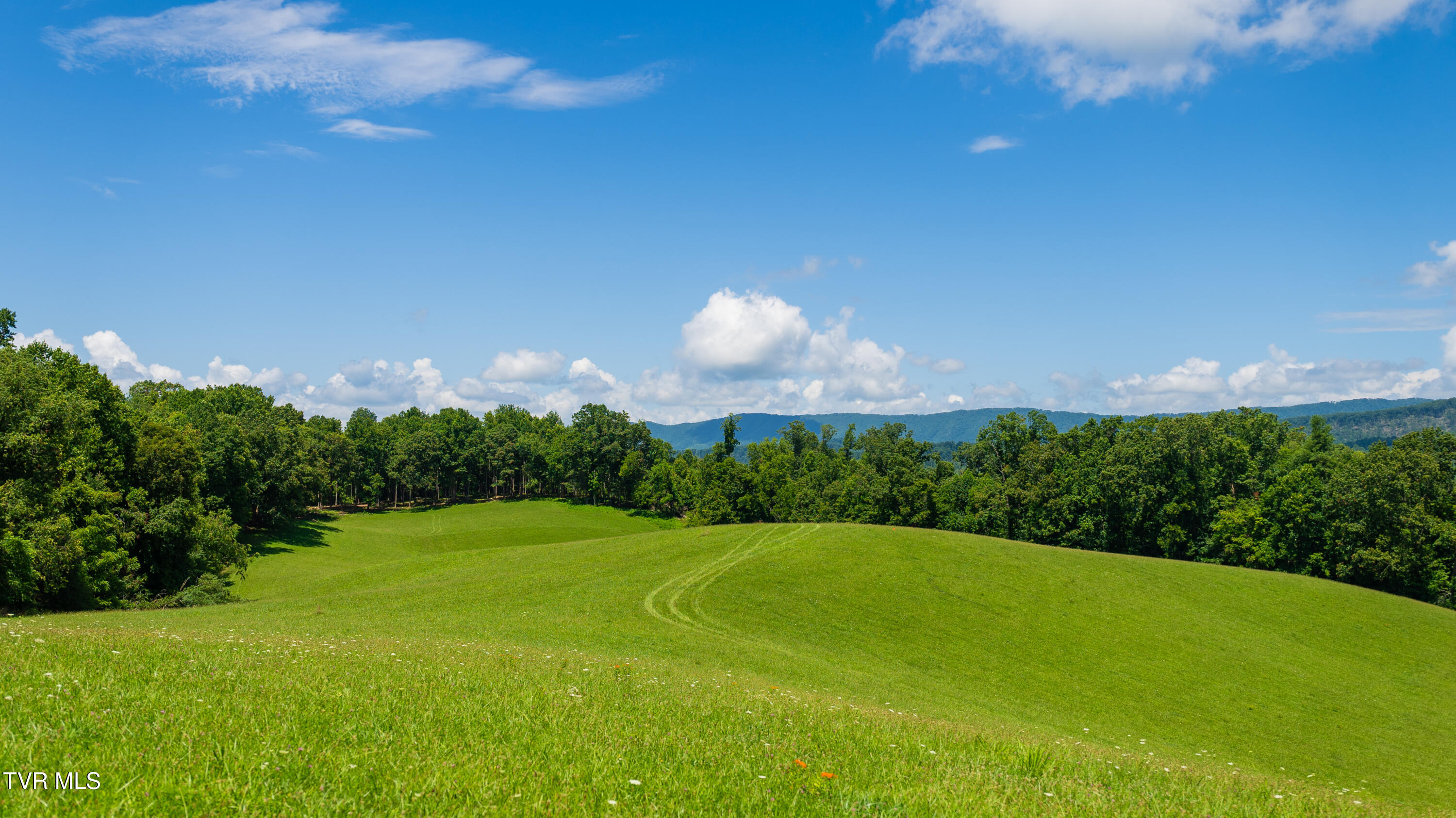 0 Dry Hill Road Butler, TN 37640 - Photo 4 of 12 38 Acre Rolling Pasture-6