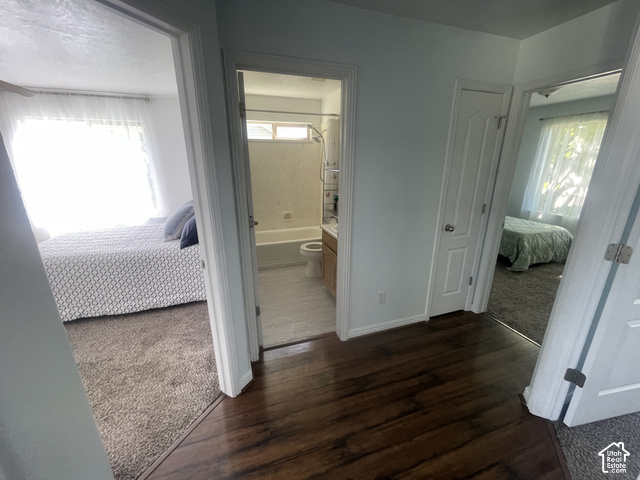 1706 Renaissance Way Springville, UT 84663 - Photo 16 of 31 Wood-finish flooring throughout the hallway