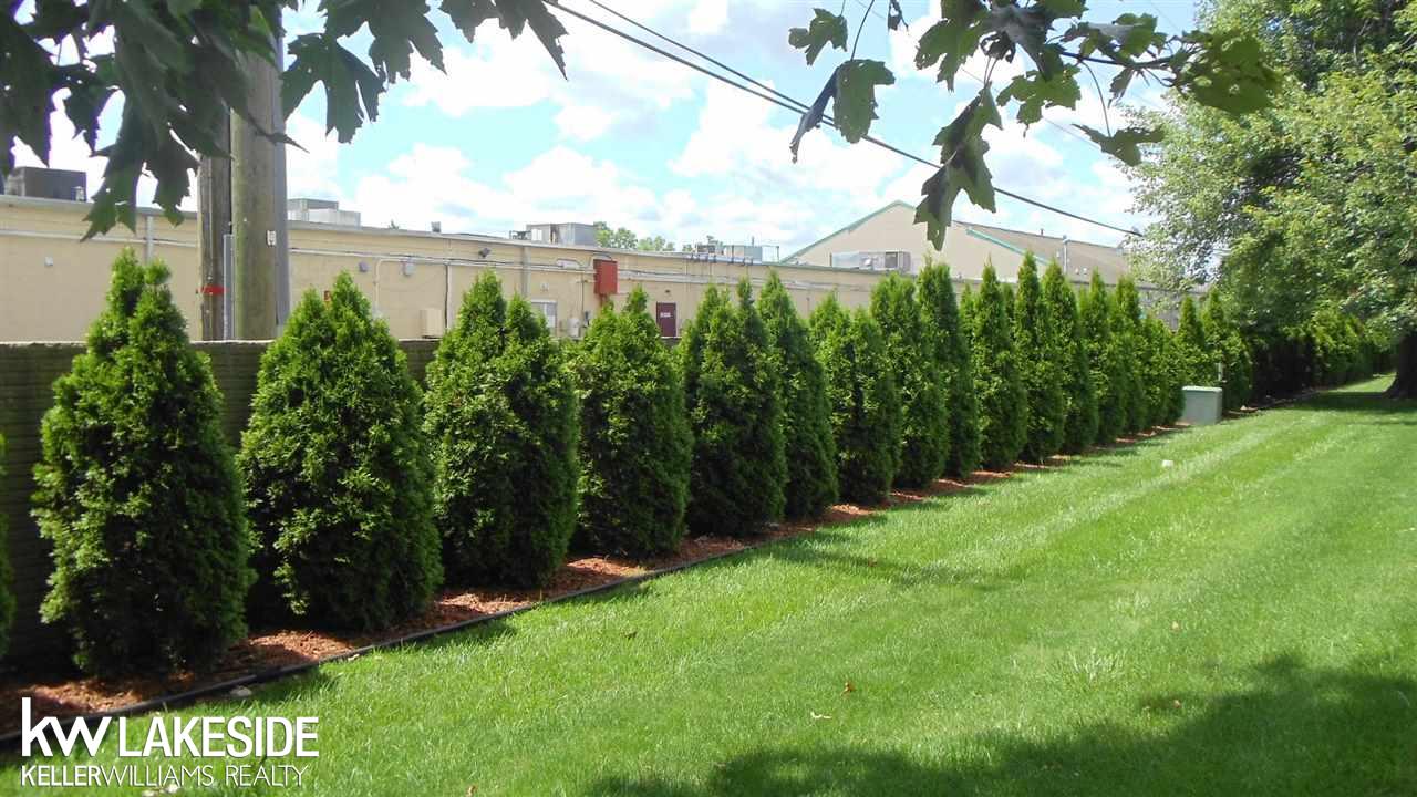 51170 South Foster Road New Baltimore, MI 48047 - Photo 34 of 35 View from patio