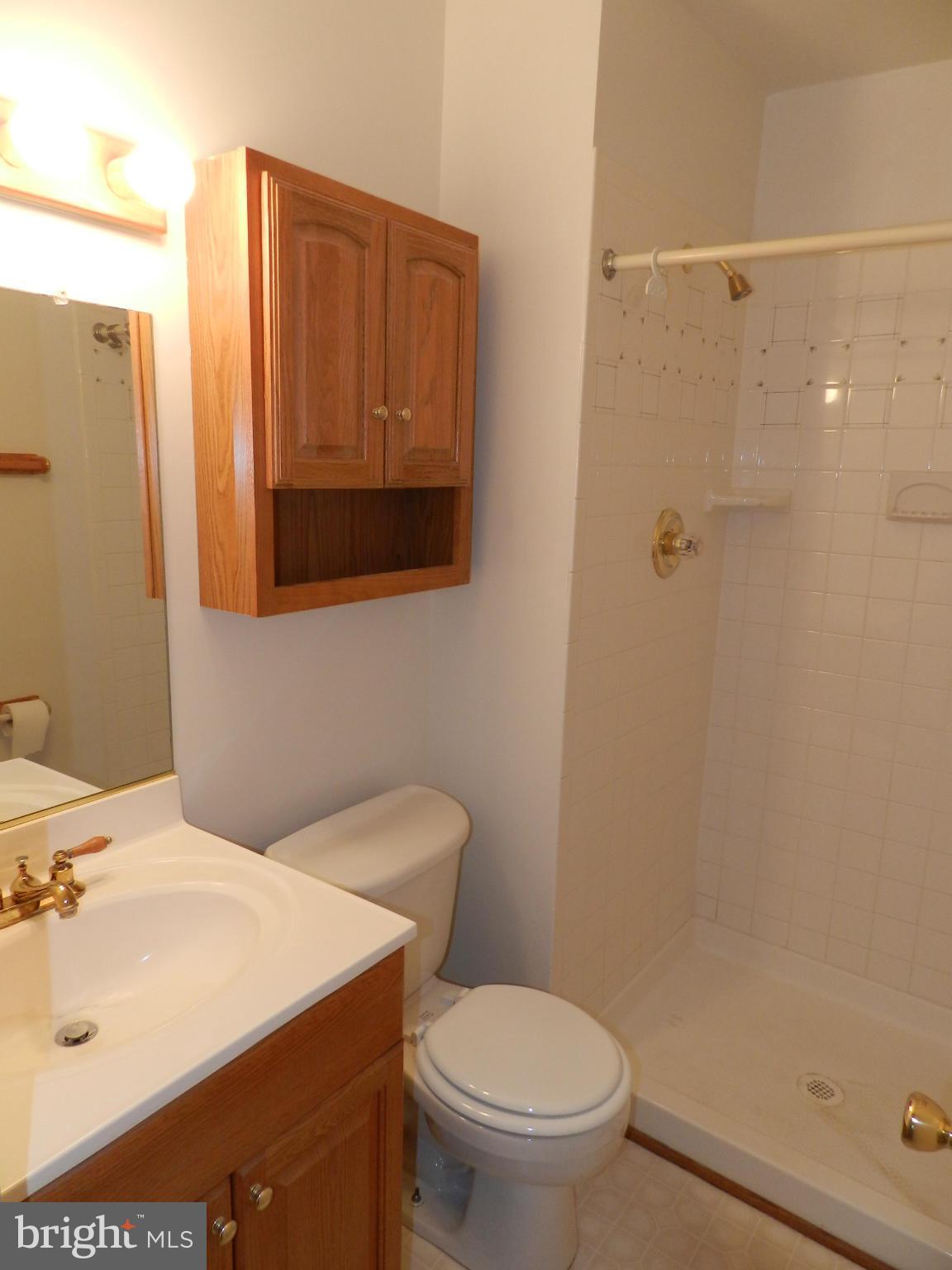 17503 Hoskinson Road Poolesville, MD 20837 - Photo 18 of 23 Bath (Master)