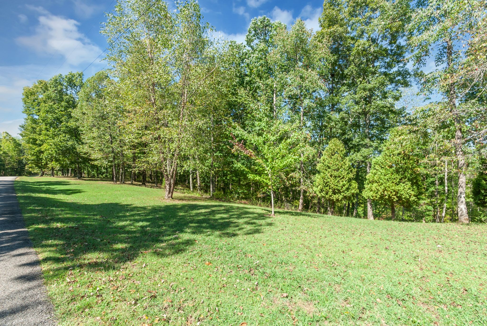 202 Zimmerman Road Hampshire, TN 38461 - Photo 44 of 61 Gallery Image 44