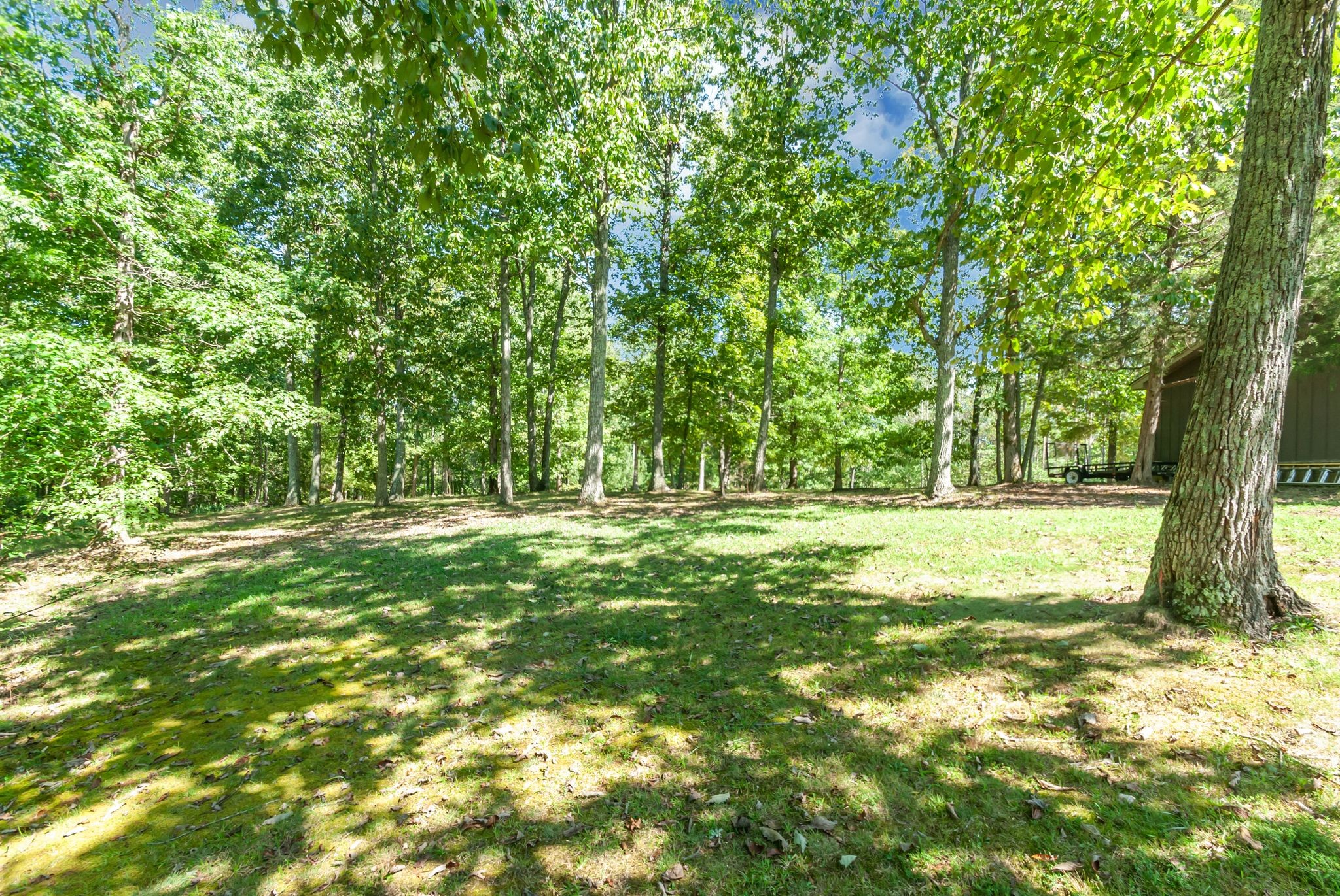 202 Zimmerman Road Hampshire, TN 38461 - Photo 45 of 61 Gallery Image 45