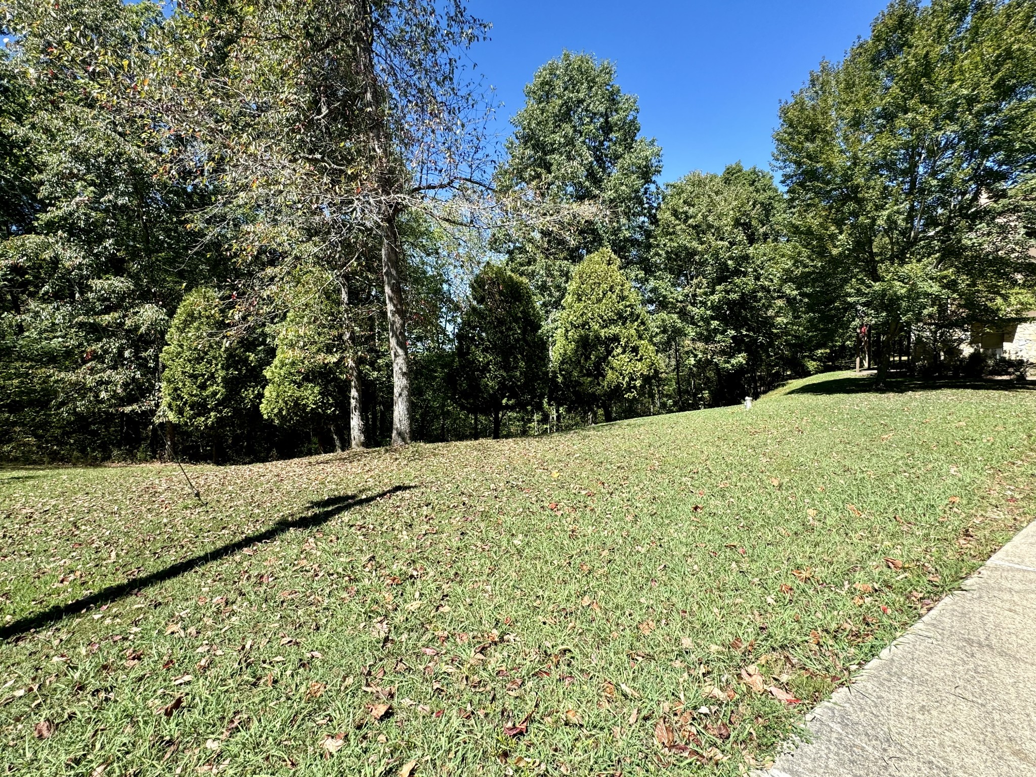 202 Zimmerman Road Hampshire, TN 38461 - Photo 46 of 61 Gallery Image 46