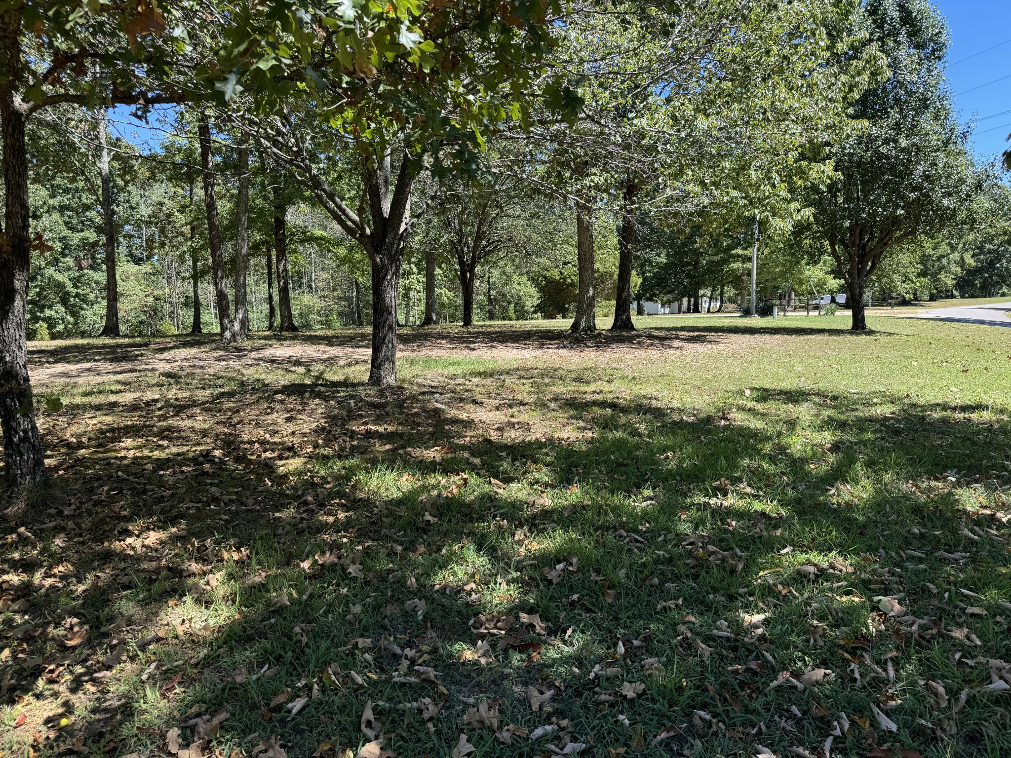 202 Zimmerman Road Hampshire, TN 38461 - Photo 47 of 61 Gallery Image 47