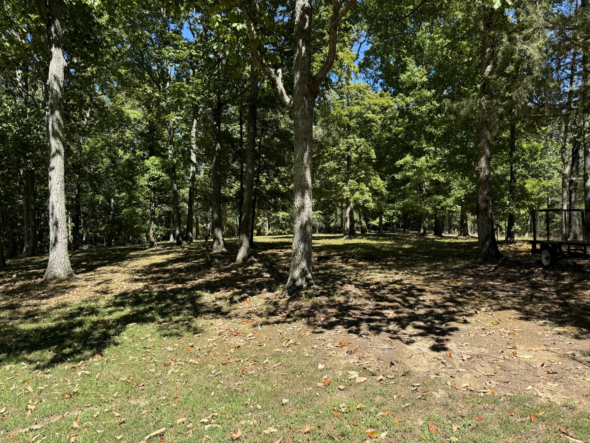 202 Zimmerman Road Hampshire, TN 38461 - Photo 49 of 61 Gallery Image 49