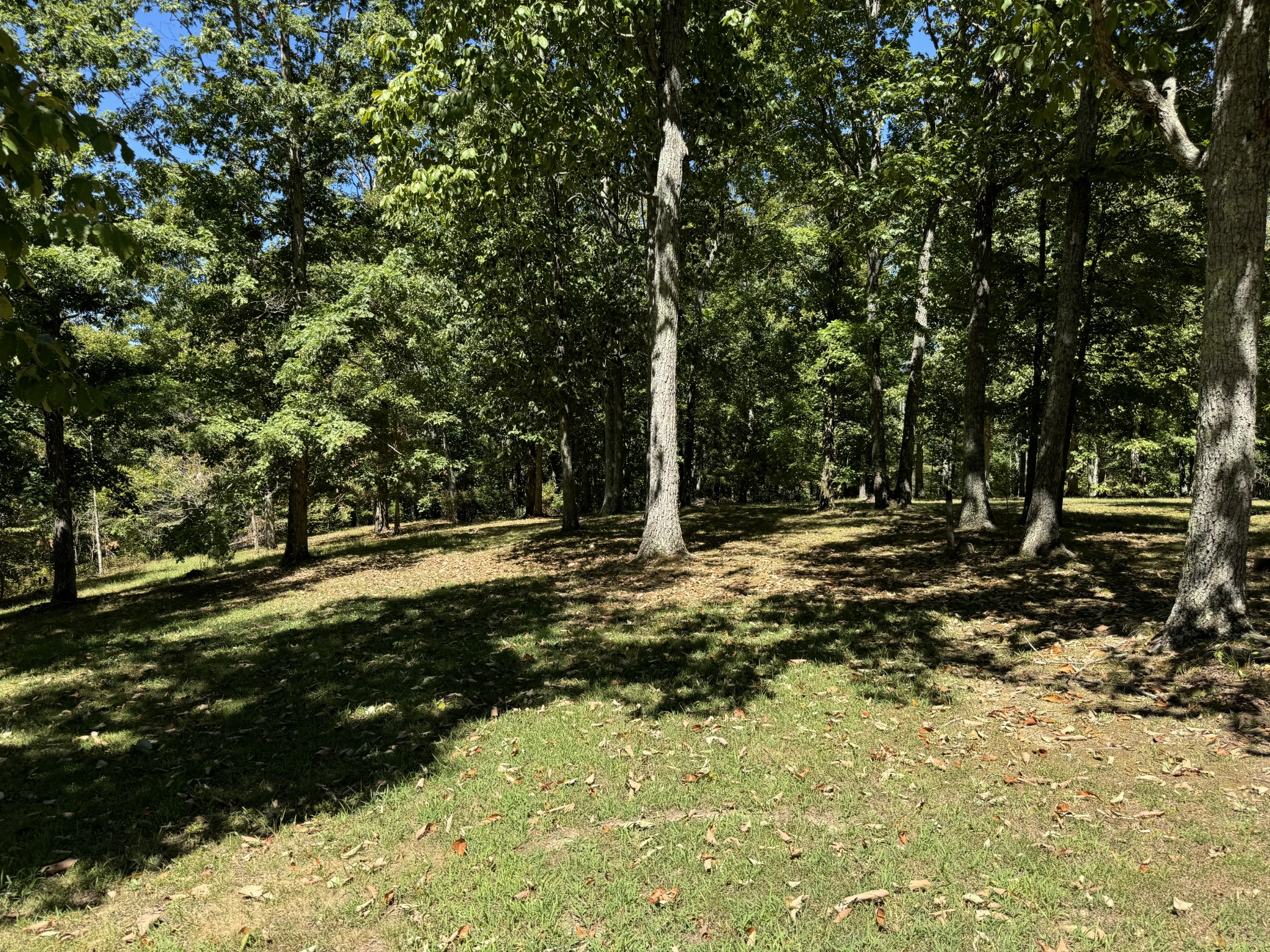202 Zimmerman Road Hampshire, TN 38461 - Photo 52 of 61 Gallery Image 52
