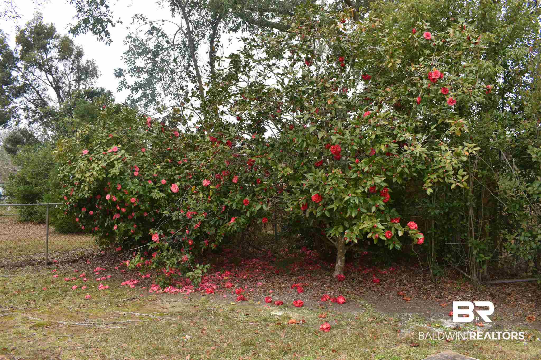 811 Morphy Avenue Fairhope, AL 36532 - Photo 27 of 28