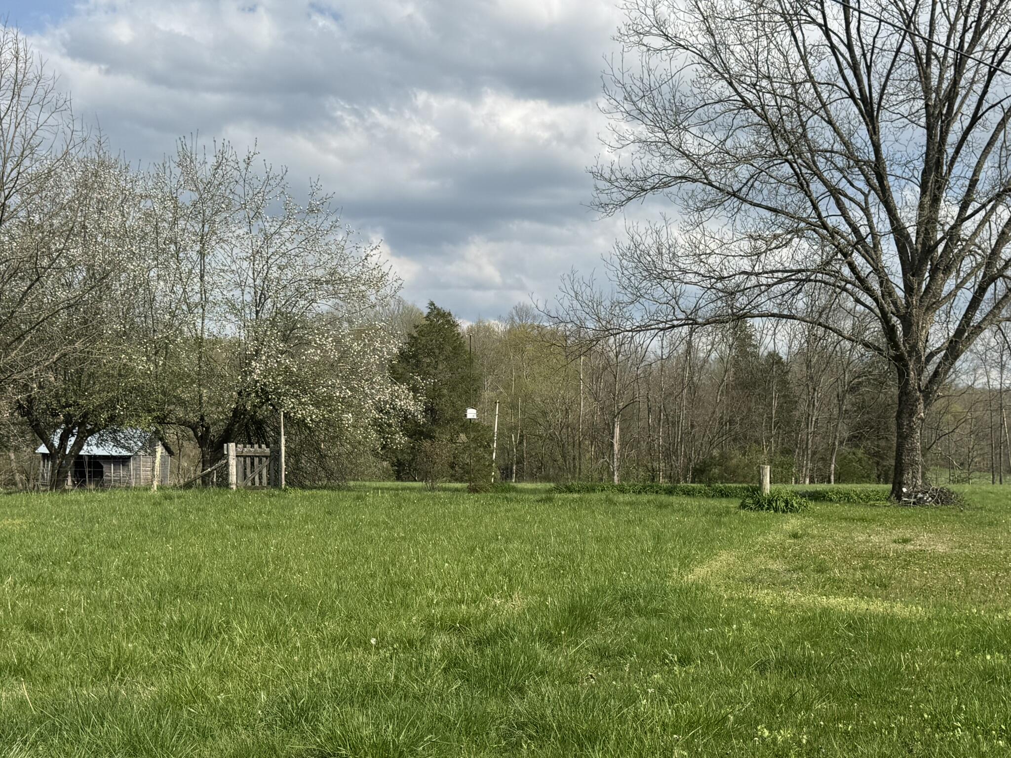 667 Troutstream Road Dunnville, KY 42528 - Photo 77 of 83 IMG_2324