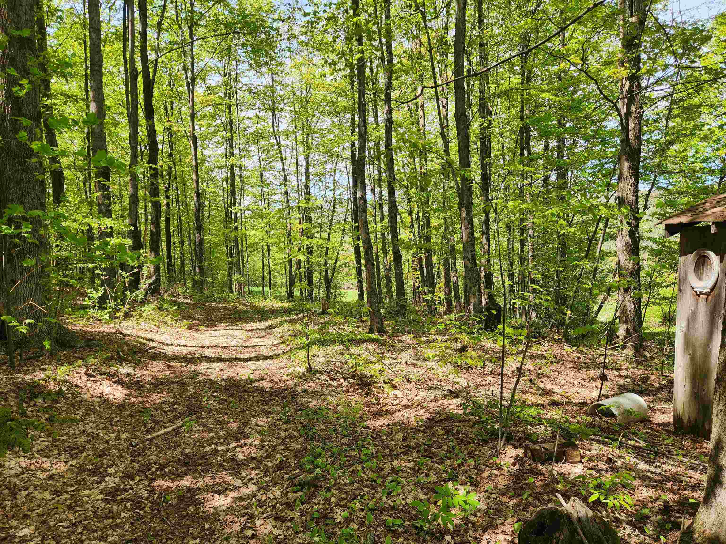 3517 Colvin Hill Road Danby, VT 05739 - Photo 14 of 25