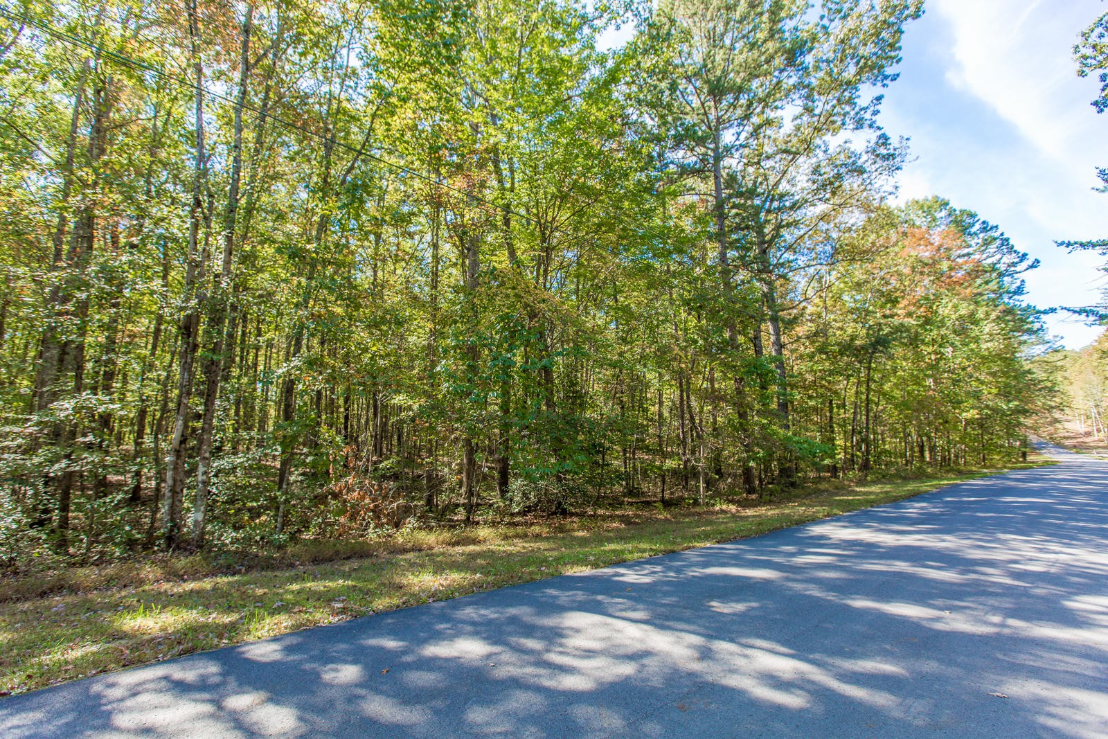 2341 Little Bend Road Signal Mountain, TN 37377 - Photo 6 of 10 Gallery Image 6