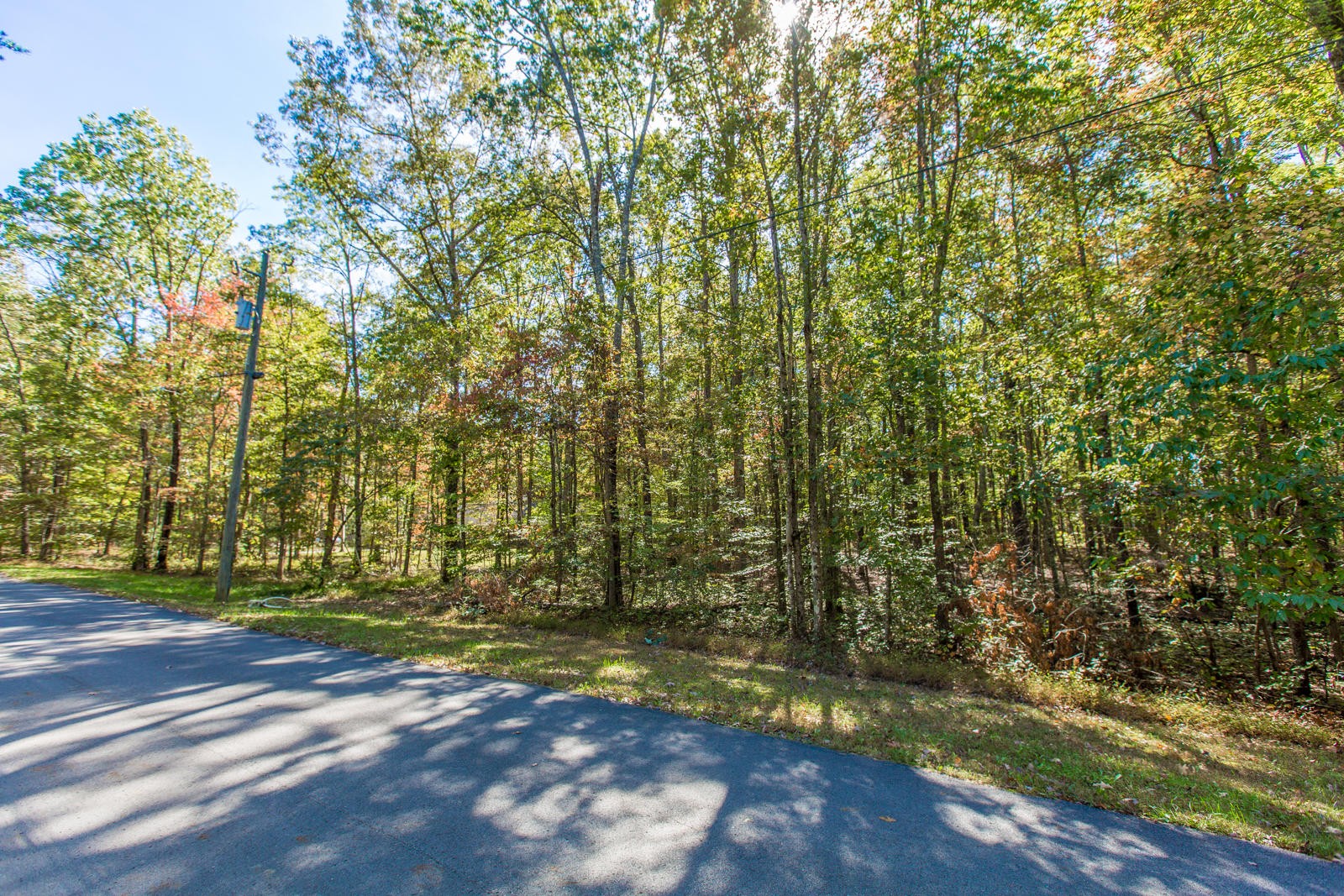 2341 Little Bend Road Signal Mountain, TN 37377 - Photo 7 of 10 Gallery Image 7