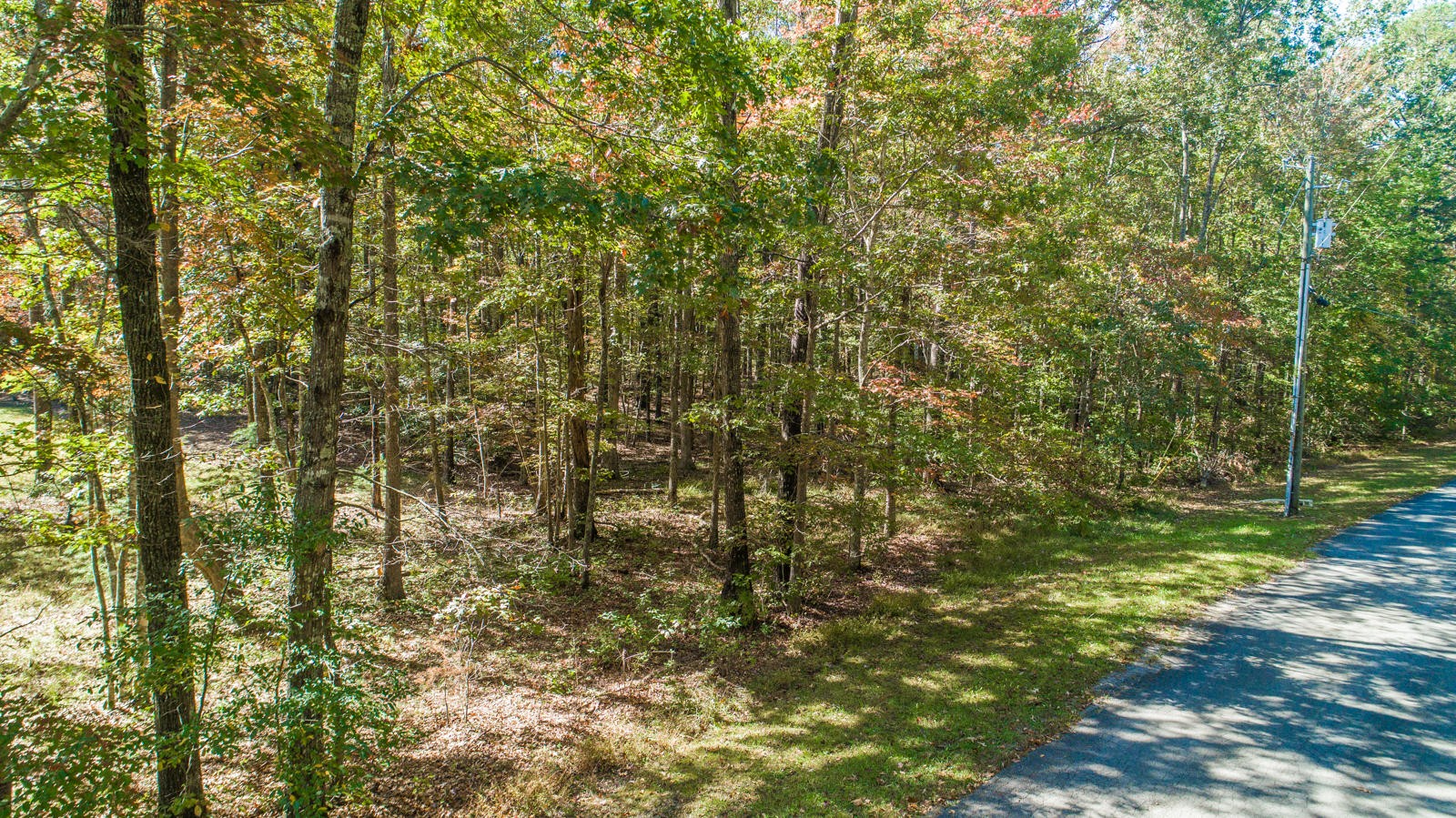 2341 Little Bend Road Signal Mountain, TN 37377 - Photo 8 of 10 Gallery Image 8