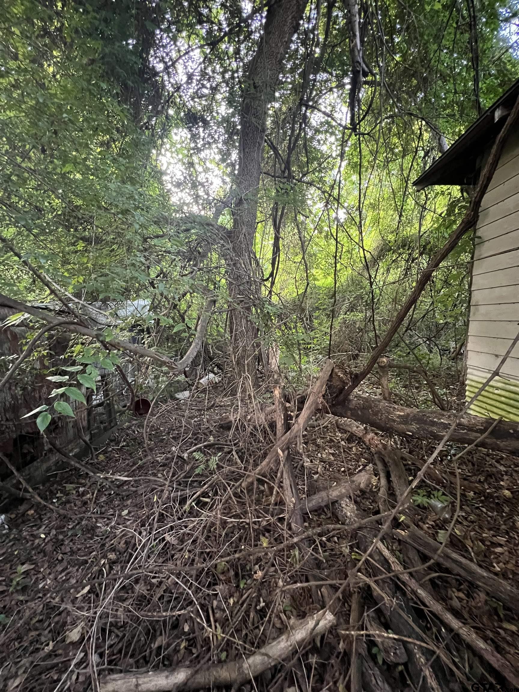 17246 Hillside Drive Flint, TX 75762 - Photo 4 of 4