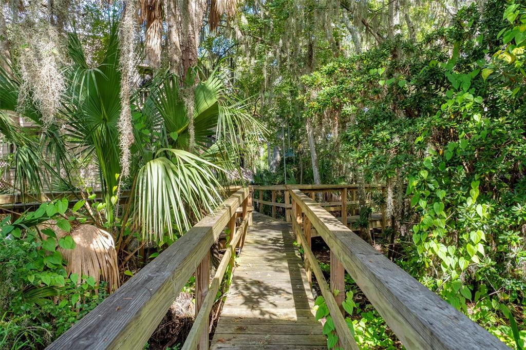 5167 South Gray Pelican Way Homosassa, FL 34448 - Photo 33 of 48