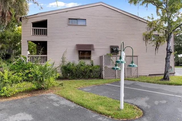 a view of a park with large trees