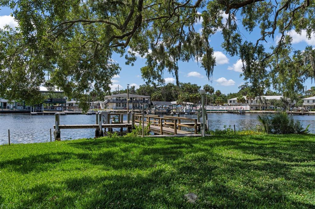 5167 South Gray Pelican Way Homosassa, FL 34448 - Photo 47 of 48