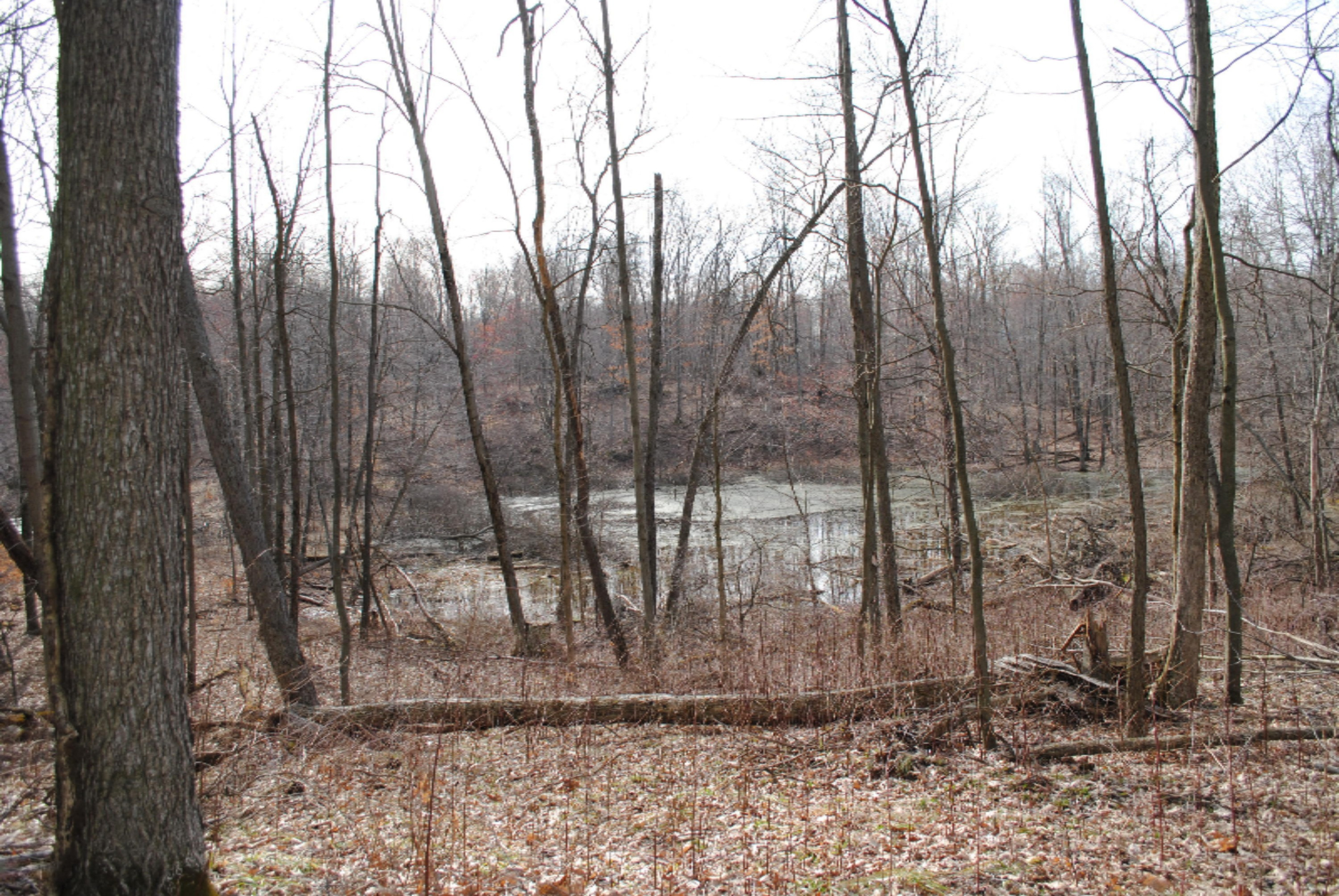 4101 Buehler Road Hastings, MI 49058 - Photo 11 of 23 2017-04-02 10.57.08