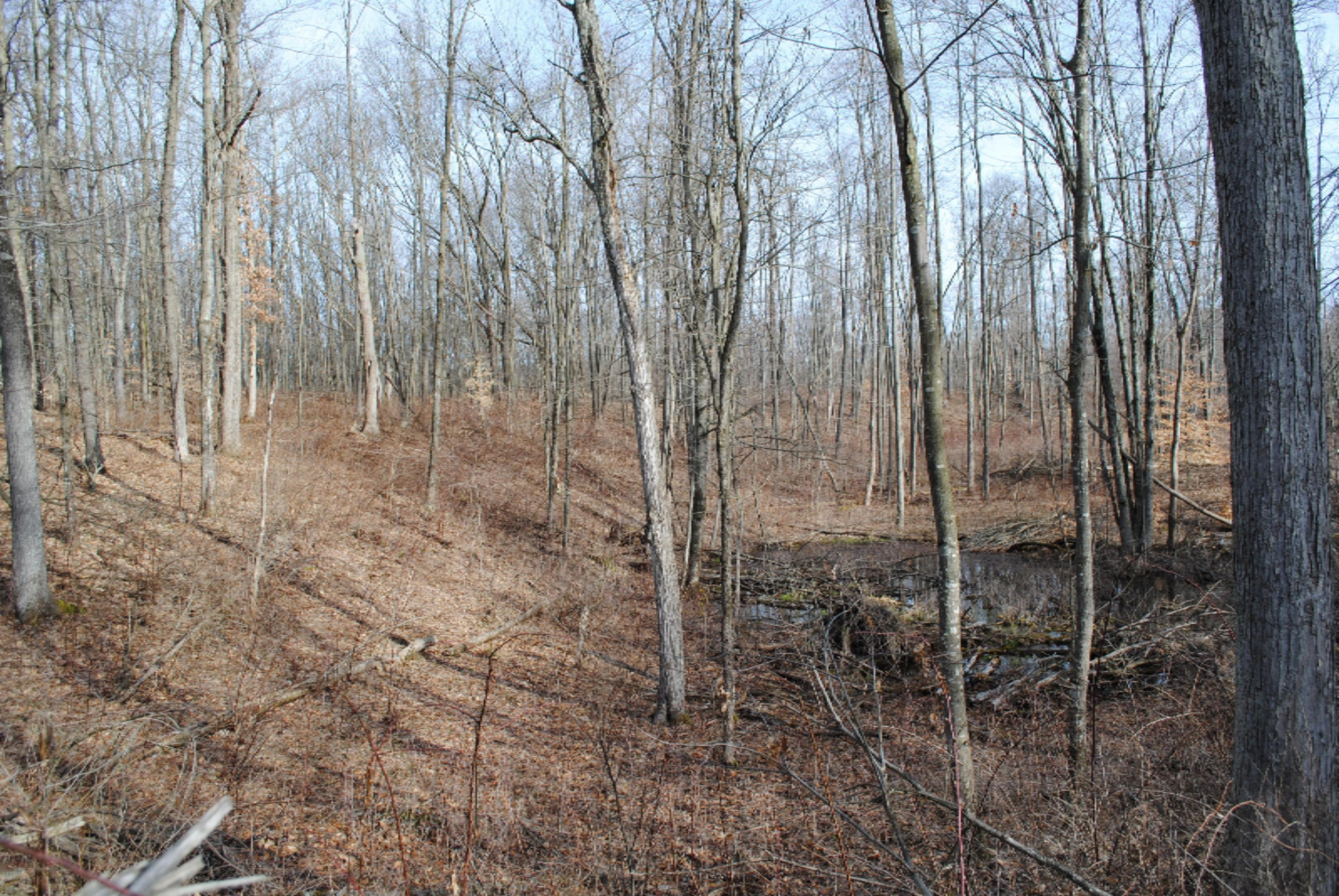 4101 Buehler Road Hastings, MI 49058 - Photo 14 of 23 2017-04-02 10.27.48