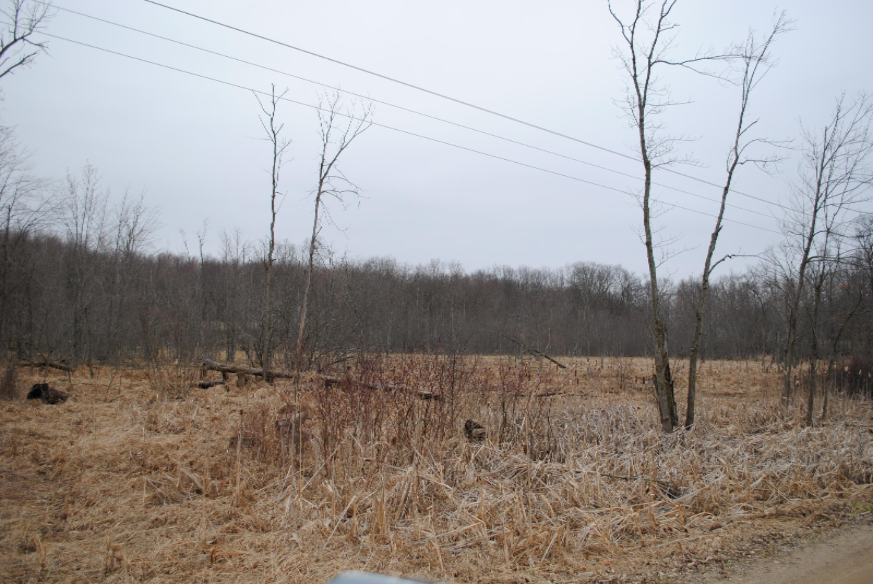 4101 Buehler Road Hastings, MI 49058 - Photo 20 of 23 2017-03-27 17.56.46