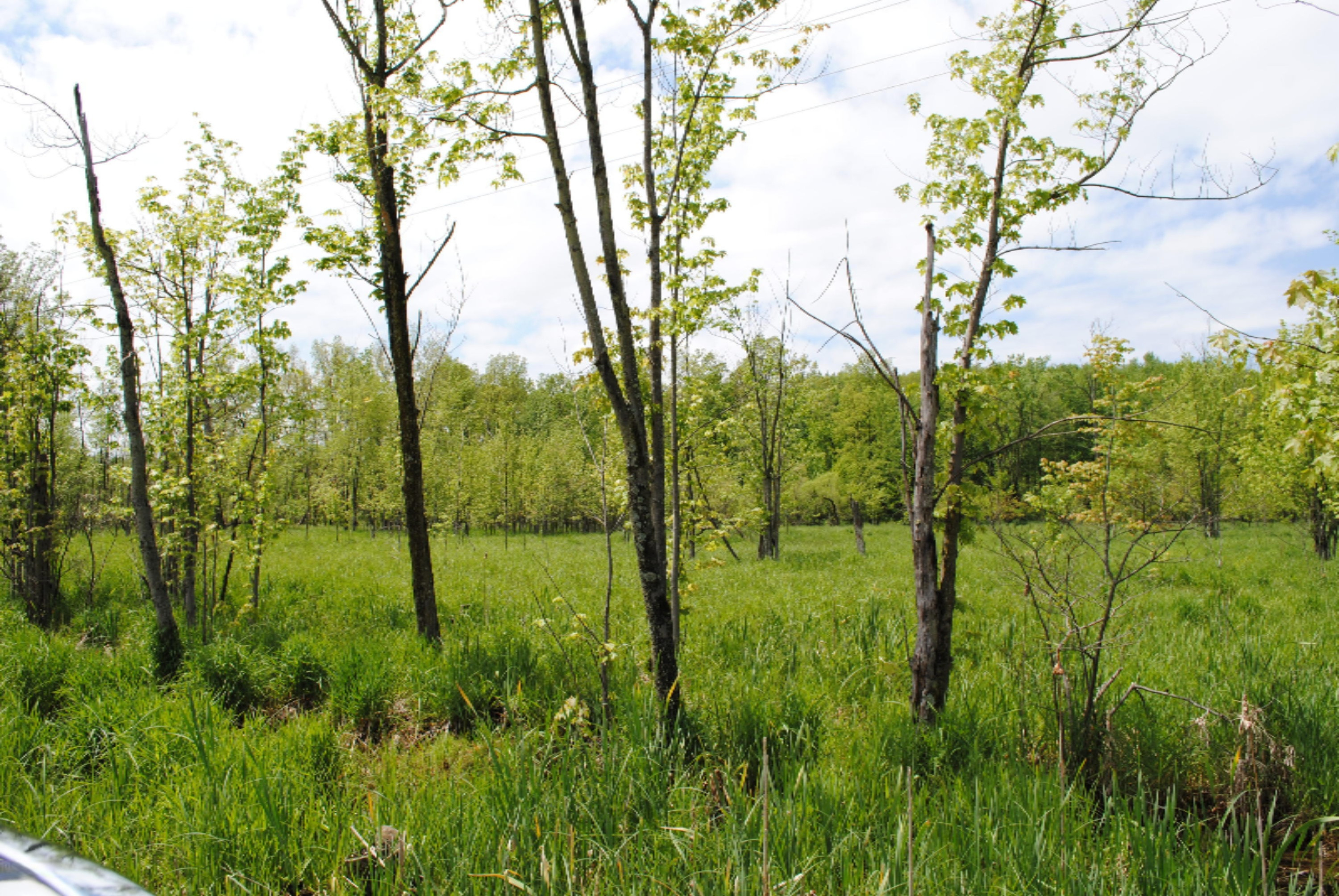 4101 Buehler Road Hastings, MI 49058 - Photo 2 of 23 2017-05-21 14.04.13