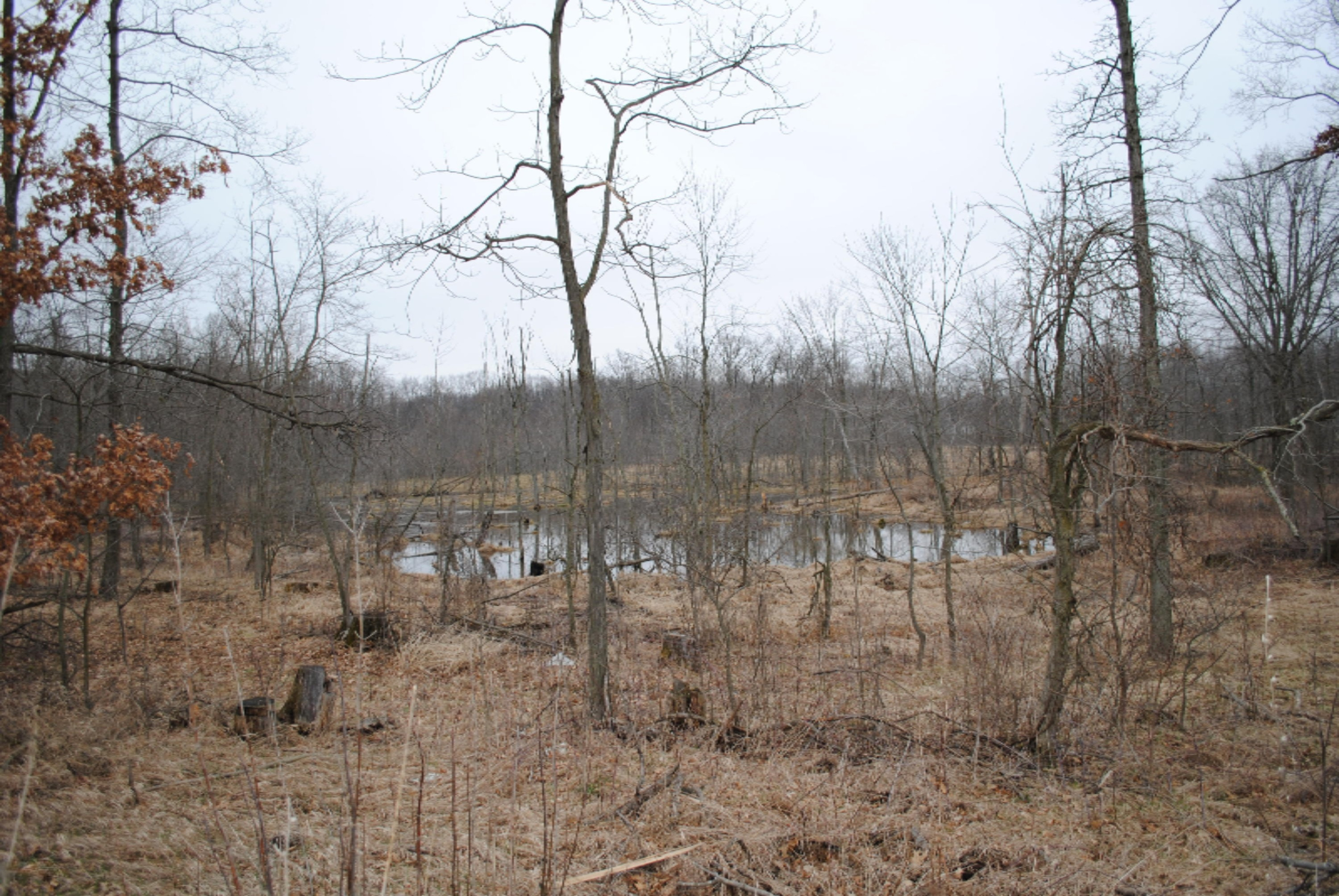 4101 Buehler Road Hastings, MI 49058 - Photo 9 of 23 2017-03-27 17.55.51